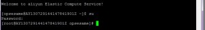 su_to_root